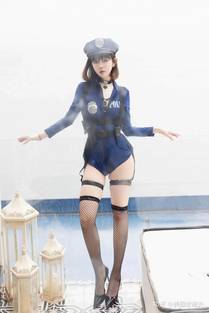 龙吟虎啸海报